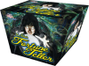 Fortune Teller